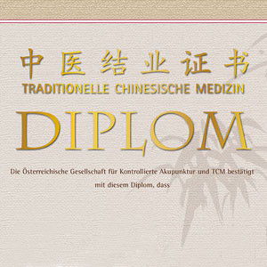 Diplom Traditionelle Chinesische Medizin