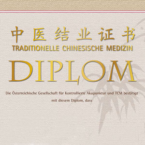 Diplom Traditionelle Chinesische Medizin
