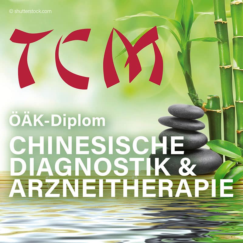 ÖÄK Diplom Chinesische Diagnostik & Arzneitherapie