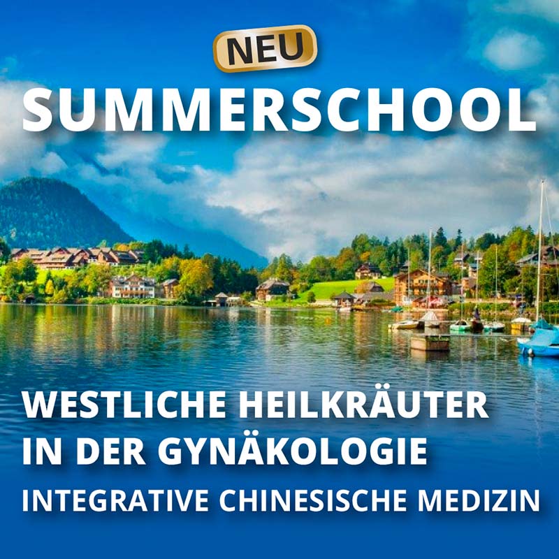 Summer School