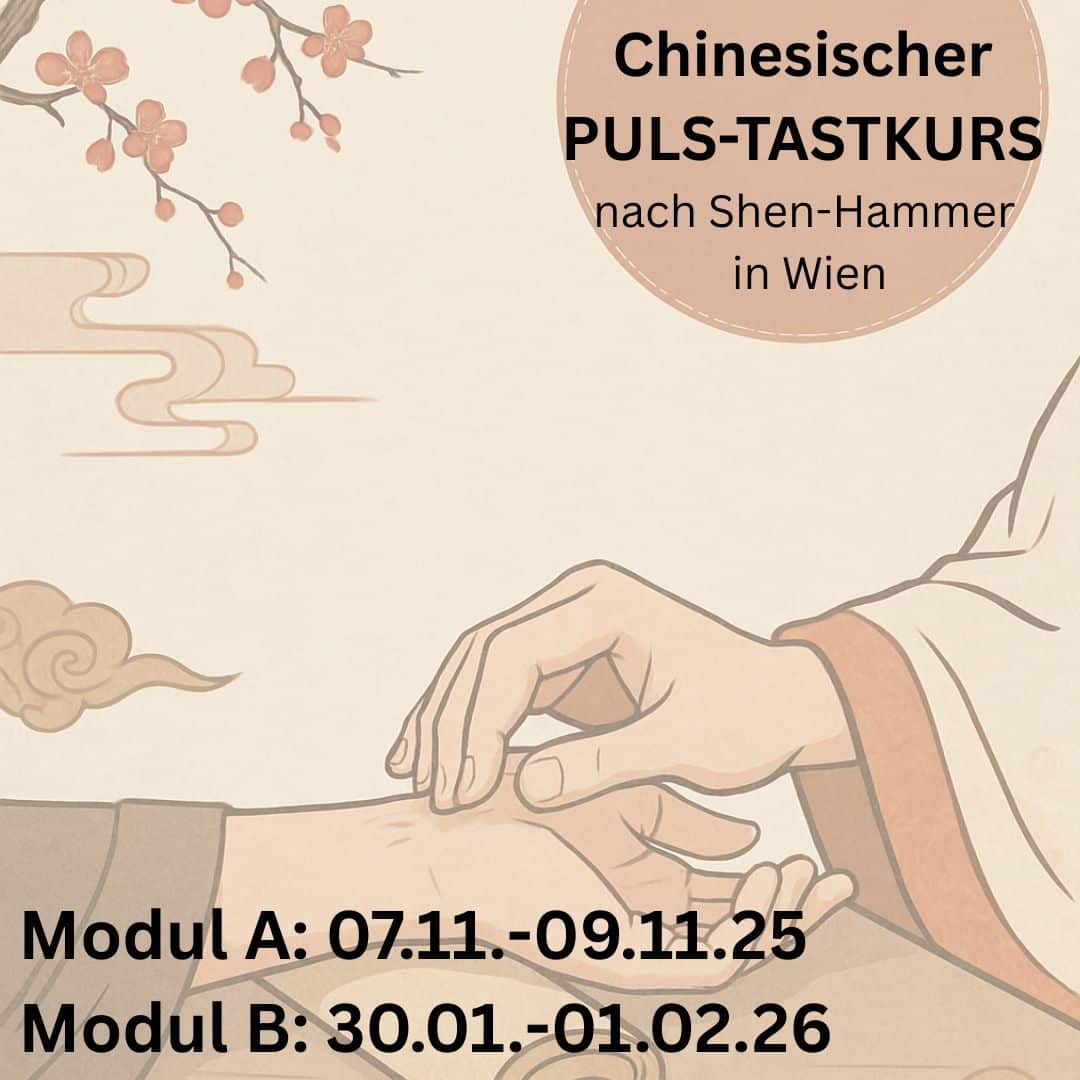 PULS-TASTKURS in Wien