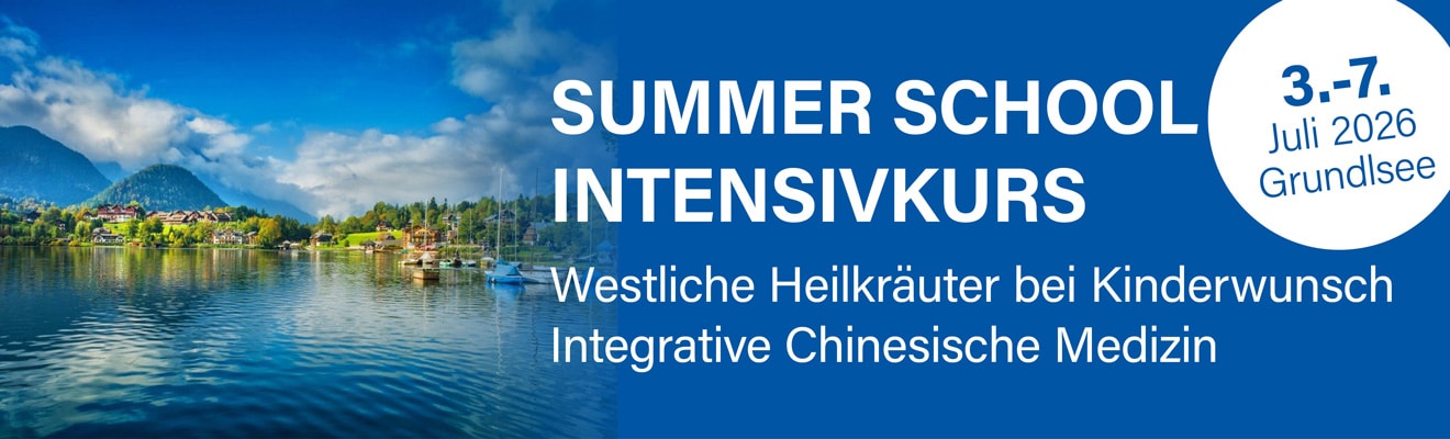 Summer School Intensivkurs 2026