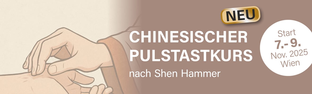 Chinesischer Pulstastkurs nach Shen Hammer